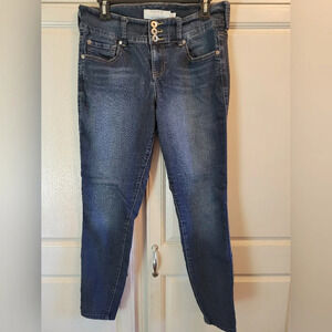 Torrid Skinny Jean